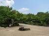 円山公園の写真のサムネイル写真9