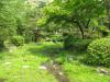 円山公園の写真のサムネイル写真11