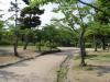 円山公園の写真のサムネイル写真13