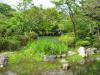 円山公園の写真のサムネイル写真15