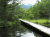 御泉水自然園の写真のサムネイル写真1