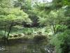 御泉水自然園の写真のサムネイル写真17