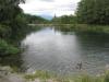 白鳥湖の写真のサムネイル写真3