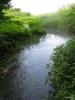 姫川源流自然探勝園の写真のサムネイル写真6