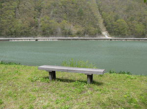 生坂水鳥公園の写真