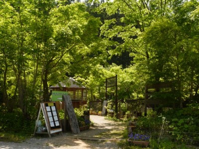 白馬山麓植物園の写真17