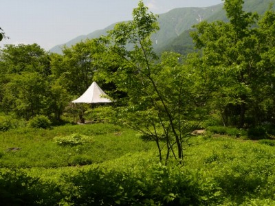 白馬山麓植物園の写真10