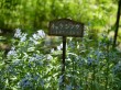 白馬山麓植物園の写真のサムネイル写真7