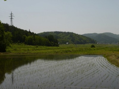 白馬山麓植物園の写真3