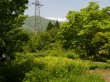 白馬山麓植物園の写真のサムネイル写真11