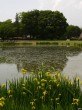 八幡原史跡公園（川中島古戦場）の写真のサムネイル写真15