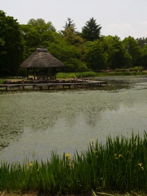 八幡原史跡公園（川中島古戦場）の写真13