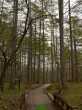 戸隠森林植物園の写真のサムネイル写真18
