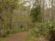戸隠森林植物園の写真のサムネイル写真14