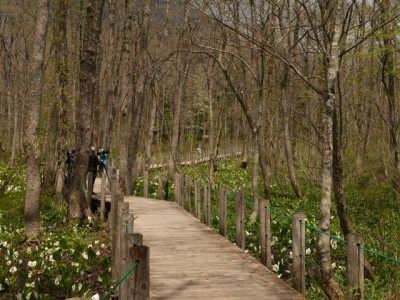 戸隠森林植物園の写真9