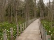戸隠森林植物園の写真のサムネイル写真7
