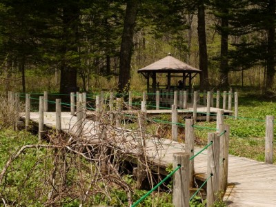 戸隠森林植物園の写真13