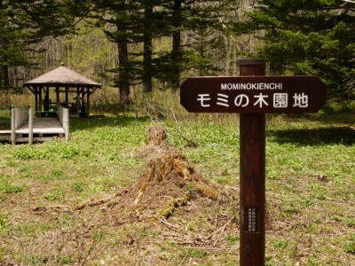 戸隠森林植物園の写真17