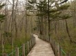 戸隠森林植物園の写真のサムネイル写真8