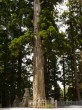 戸隠神社の写真のサムネイル写真9