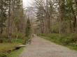 戸隠神社の写真のサムネイル写真8