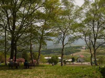 黒姫高原の写真25