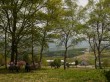 黒姫高原の写真のサムネイル写真25