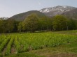 黒姫高原の写真のサムネイル写真20