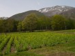 黒姫高原の写真のサムネイル写真20