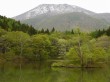 御鹿池の写真のサムネイル写真3