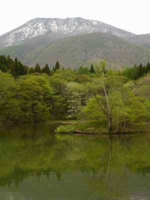 御鹿池の写真5