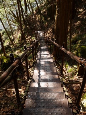 阿寺渓谷の写真18