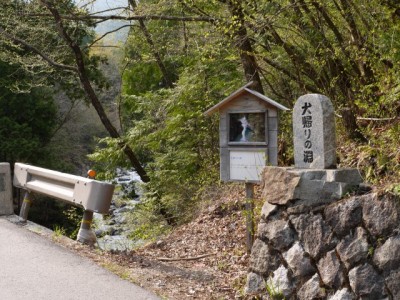 阿寺渓谷の写真24