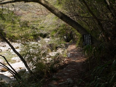 柿其渓谷の写真20