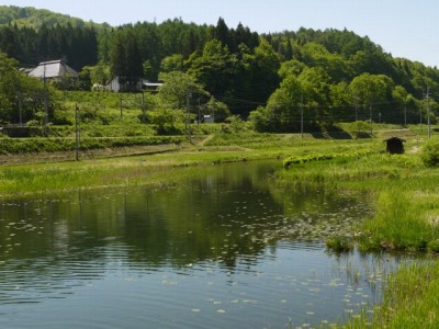 中綱湖の写真10