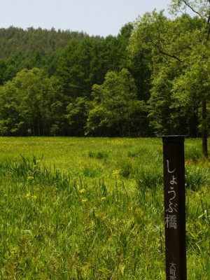 居谷里湿原の写真13