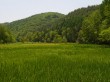 居谷里湿原の写真のサムネイル写真2