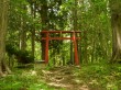 居谷里湿原の写真のサムネイル写真14
