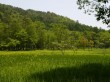 居谷里湿原の写真のサムネイル写真3