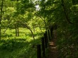 居谷里湿原の写真のサムネイル写真10