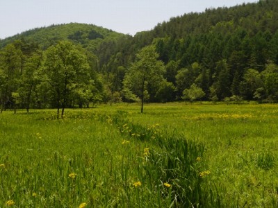 居谷里湿原の写真4