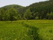 居谷里湿原の写真のサムネイル写真4