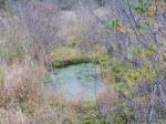 唐花見湿原の写真のサムネイル写真26