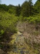 唐花見湿原の写真のサムネイル写真13