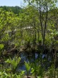 唐花見湿原の写真のサムネイル写真18