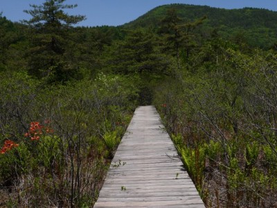 唐花見湿原の写真6