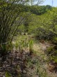 唐花見湿原の写真のサムネイル写真19