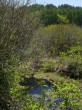 唐花見湿原の写真のサムネイル写真17