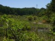 唐花見湿原の写真のサムネイル写真5