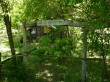 唐花見湿原の写真のサムネイル写真10
